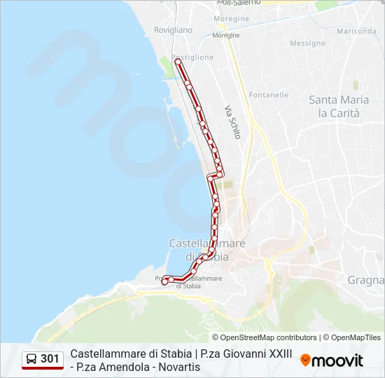 301 Bus Line Map