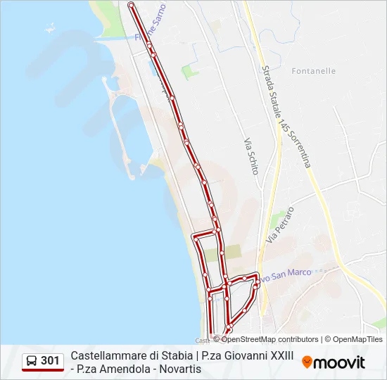 301 Bus Line Map