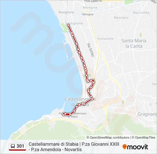 301 Bus Line Map