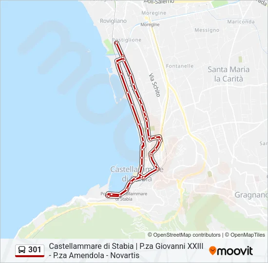 301 Bus Line Map