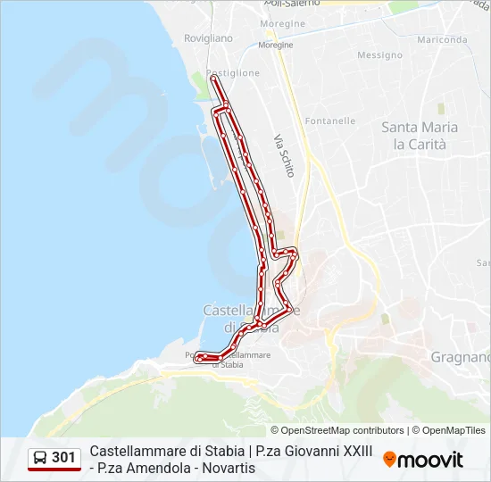 301 Bus Line Map