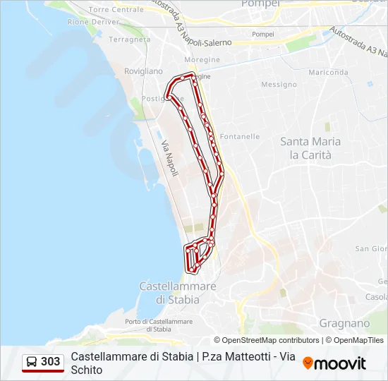303 Bus Line Map