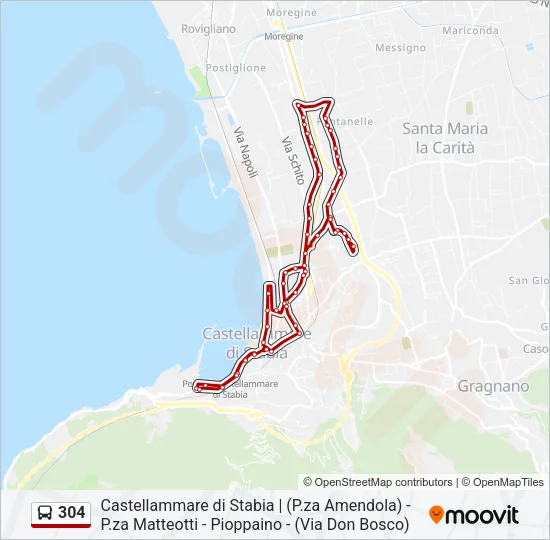 304 Bus Line Map