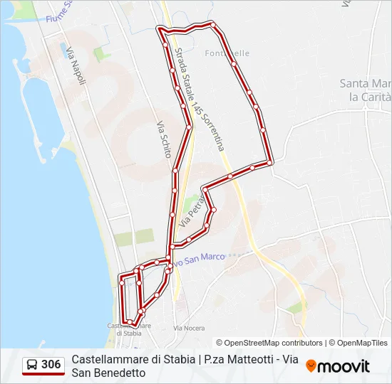 306 Bus Line Map