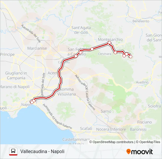 SELLITTO Bus Line Map
