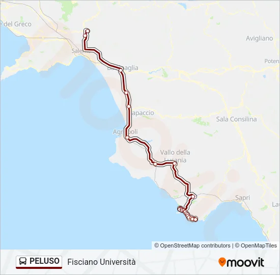 PELUSO Bus Line Map