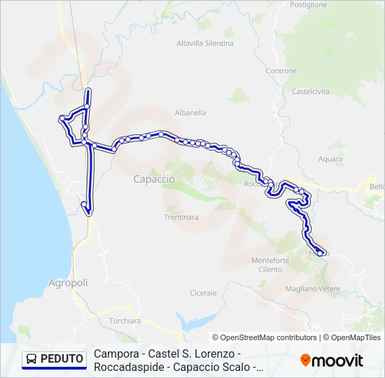 PEDUTO Bus Line Map