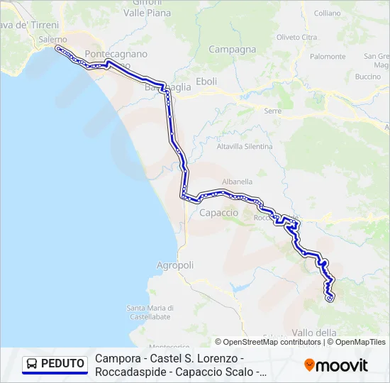 PEDUTO Bus Line Map
