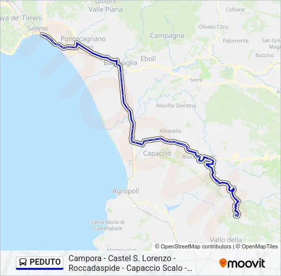 PEDUTO Bus Line Map