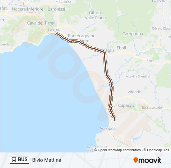 BUS Line Map