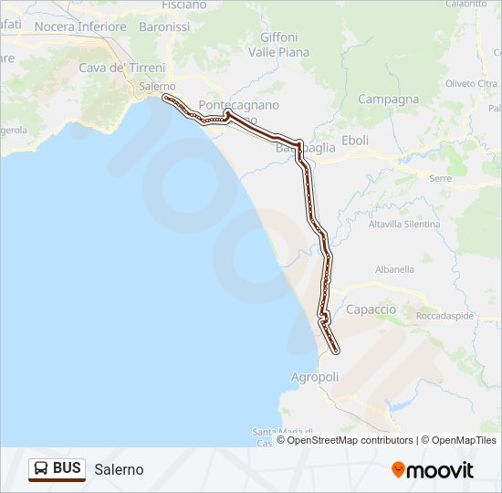 BUS Line Map