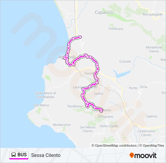 BUS Line Map
