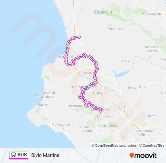 BUS Line Map