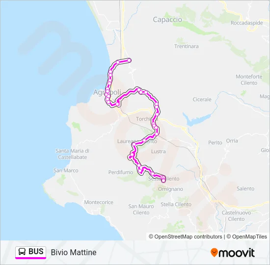 BUS Line Map