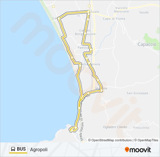 BUS Line Map