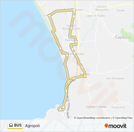 BUS Line Map