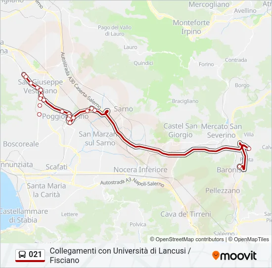 021 Bus Line Map