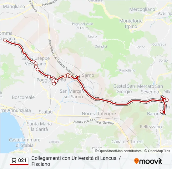 021 Bus Line Map