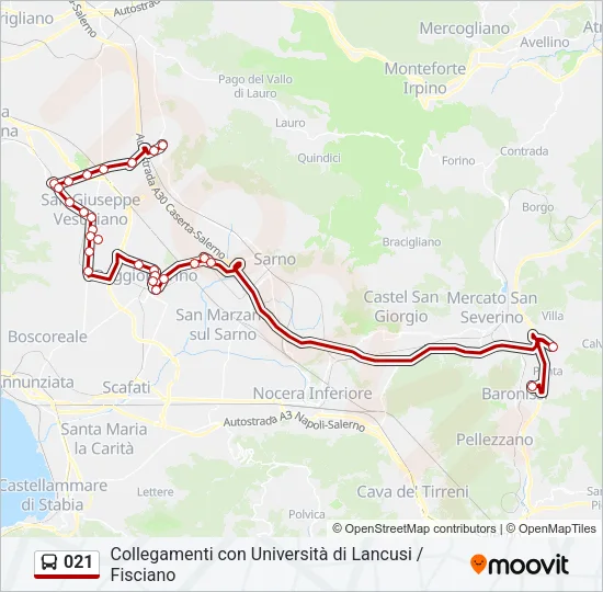 021 Bus Line Map