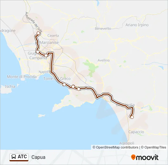 ATC Bus Line Map