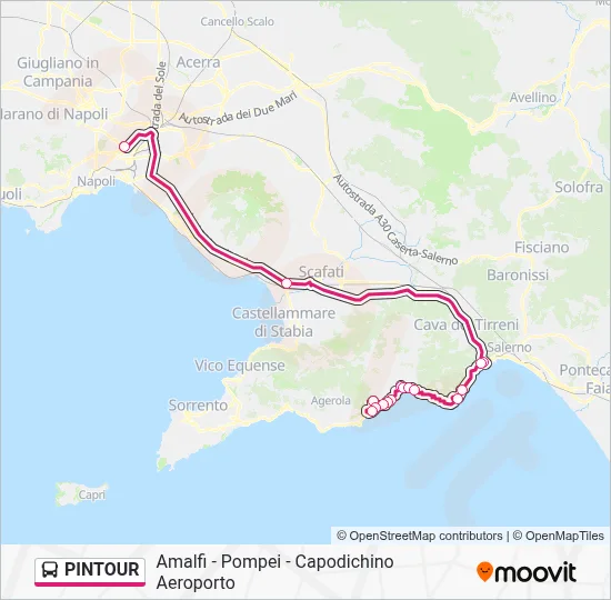 PINTOUR Bus Line Map