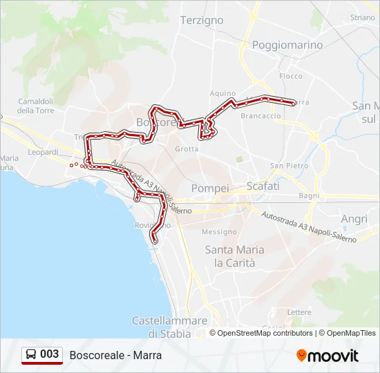 003 Bus Line Map