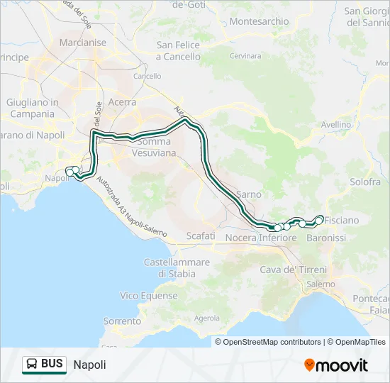 BUS Line Map