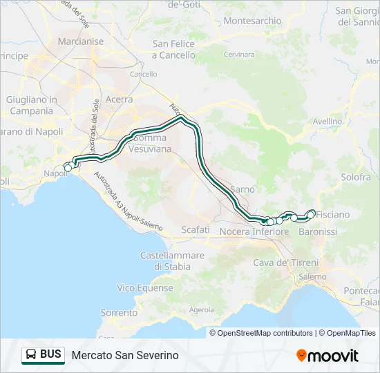 BUS Line Map