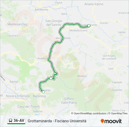 36-AV Bus Line Map