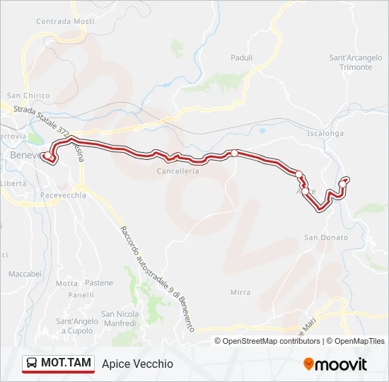 MOT.TAM Bus Line Map