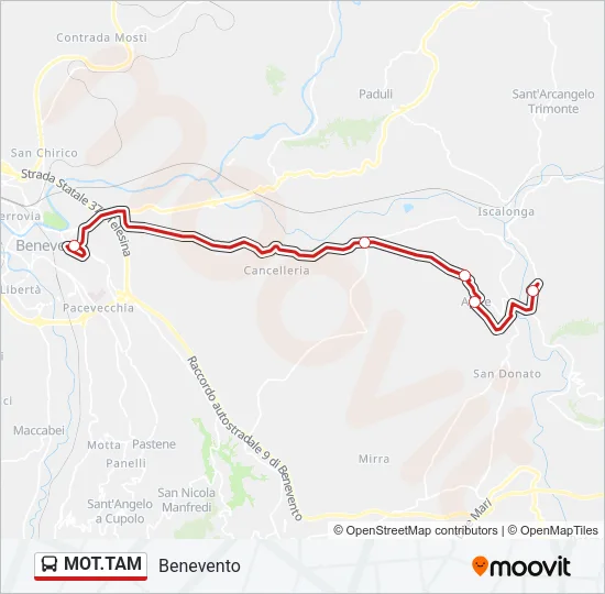 MOT.TAM Bus Line Map