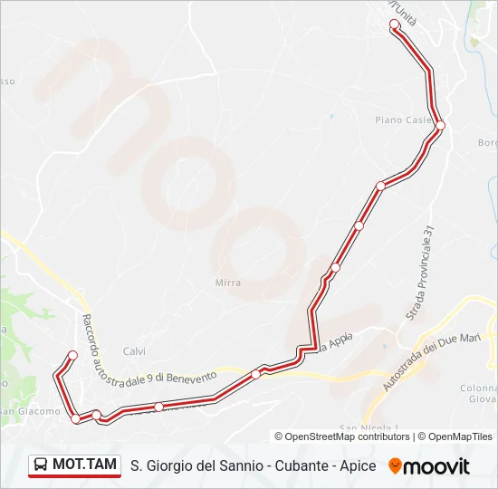 MOT.TAM Bus Line Map