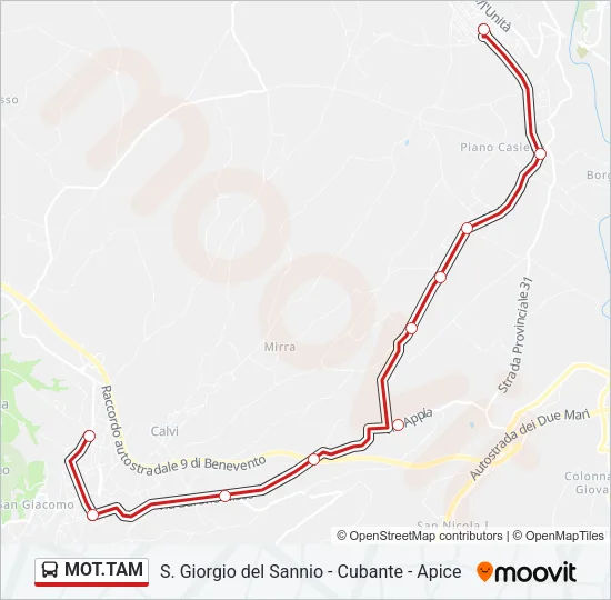MOT.TAM Bus Line Map