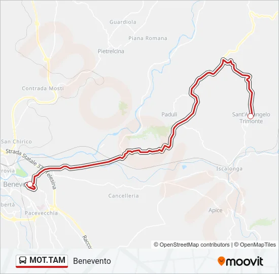 MOT.TAM Bus Line Map