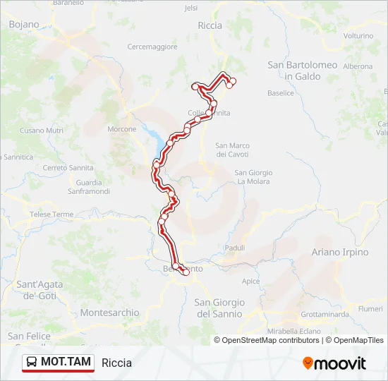 MOT.TAM Bus Line Map