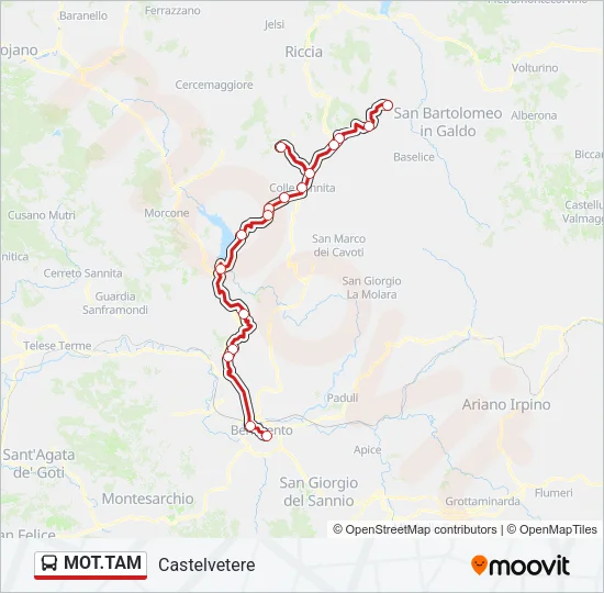MOT.TAM Bus Line Map
