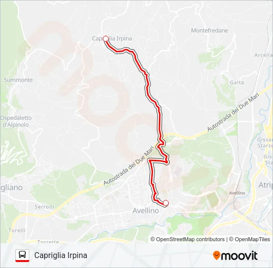 BARTOLINI Bus Line Map