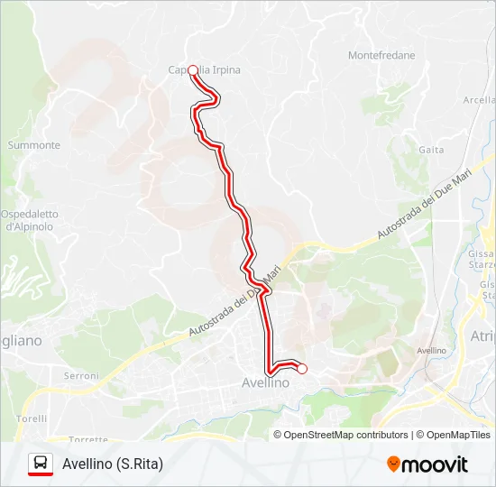 BARTOLINI Bus Line Map