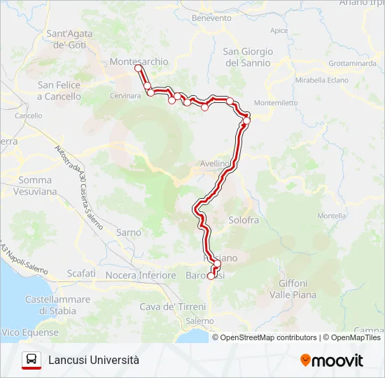 SELLITTO Bus Line Map