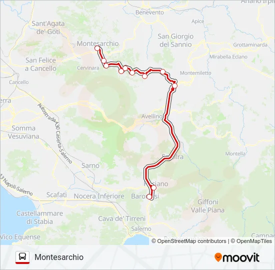 SELLITTO Bus Line Map