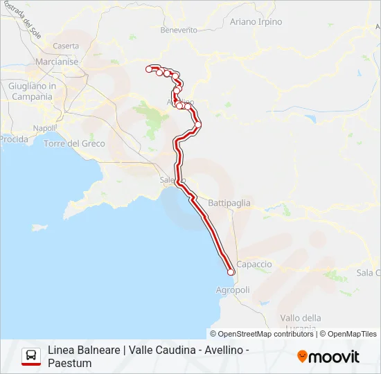 SELLITTO Bus Line Map