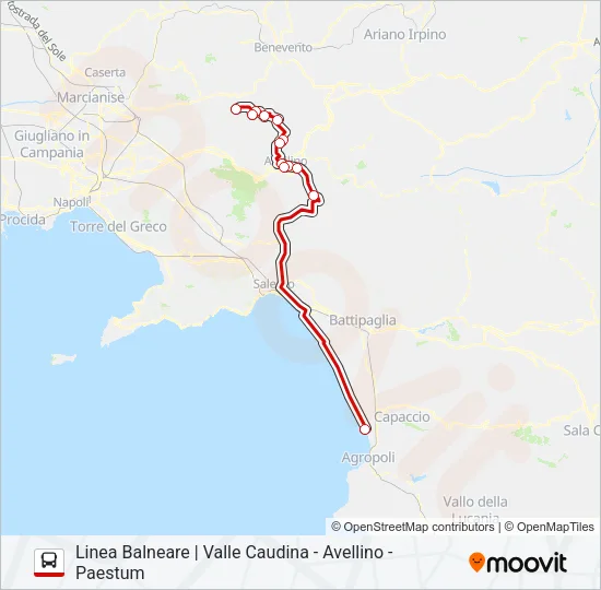 SELLITTO Bus Line Map