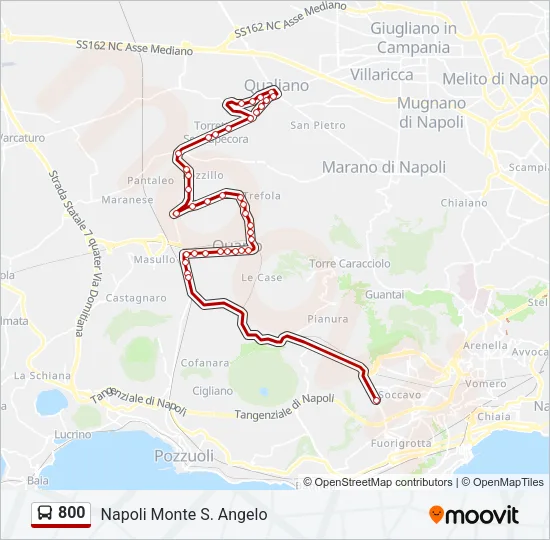 800 Bus Line Map