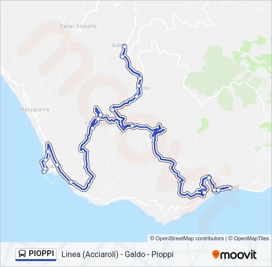 PIOPPI Bus Line Map