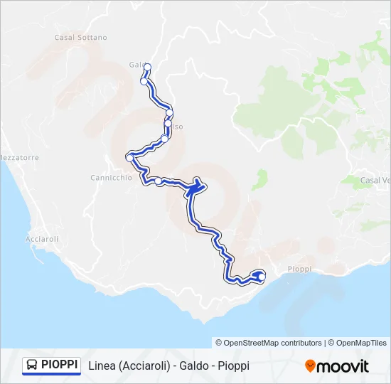 PIOPPI Bus Line Map
