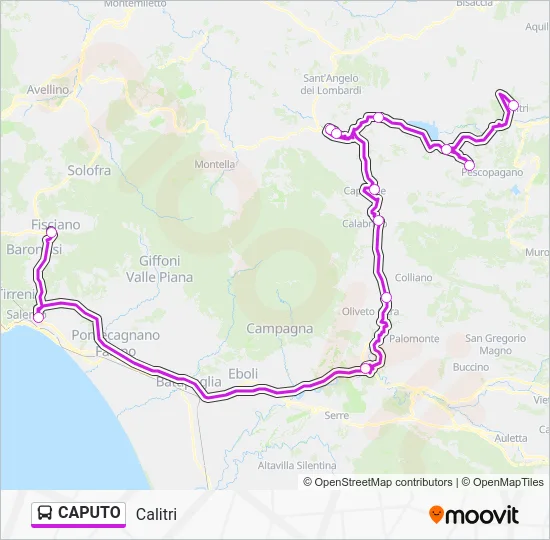 Percorso linea bus CAPUTO