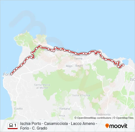 1 Bus Line Map
