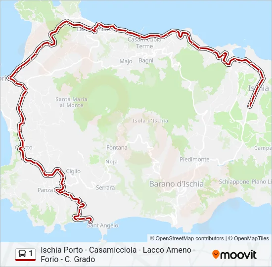 1 Bus Line Map