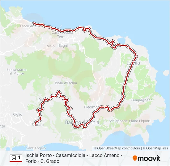 1 Bus Line Map