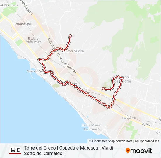 E Bus Line Map